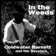 Coldwater Barnett and the Hoysters